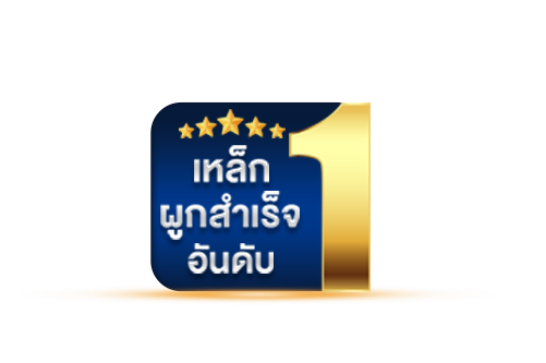 สตีลเหล็ก No.1 เหล็กผูกสำเร็จ